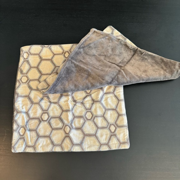 16 x 16 crate and barrel pillow cases- 2 - Picture 2 of 9